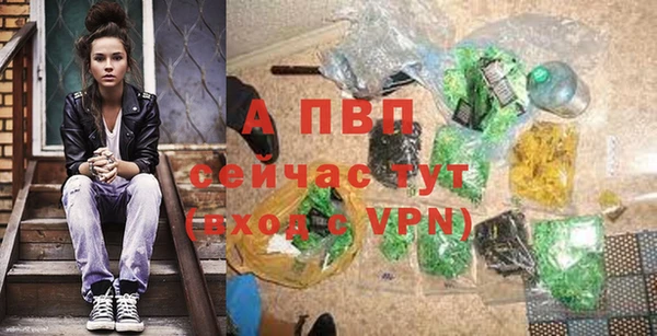 гидра Губаха