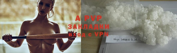 стаф Бородино
