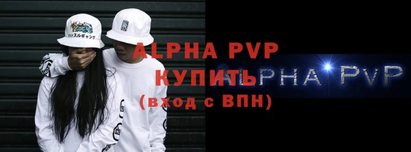 стаф Бородино