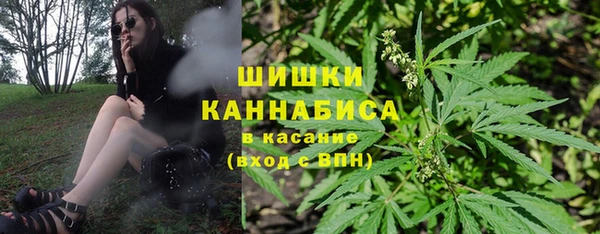 стаф Бородино