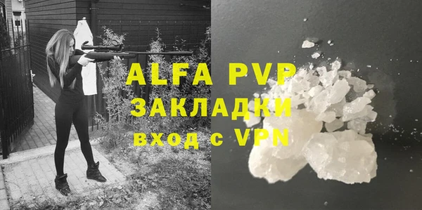 гашиш Богданович